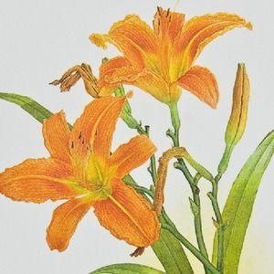 Meet your Posher, Polly